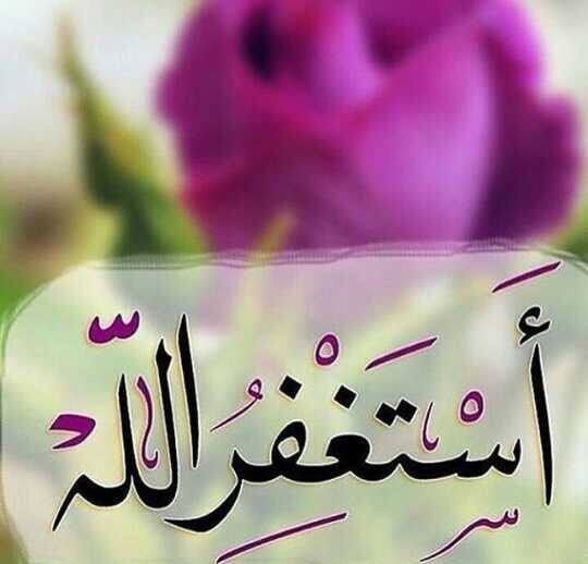 ÙØªÙØ¬Ø© Ø¨Ø­Ø« Ø§ÙØµÙØ± Ø¹Ù ØµÙØ± Ø§Ø³ÙØ§ÙÙÙ