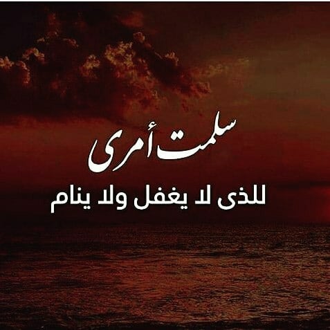 ÙØªÙØ¬Ø© Ø¨Ø­Ø« Ø§ÙØµÙØ± Ø¹Ù ØµÙØ± Ø§Ø³ÙØ§ÙÙÙ