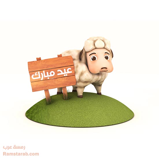 خروف عيد الاضحى