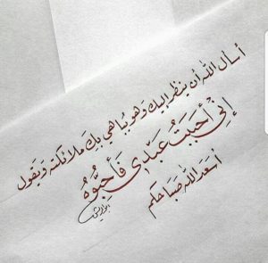 ضور حكم، صور مقولات