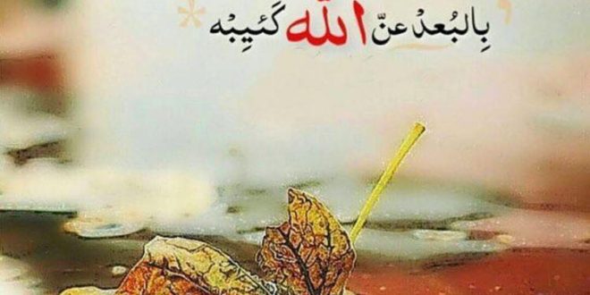 ضور رمزية،صور حكم