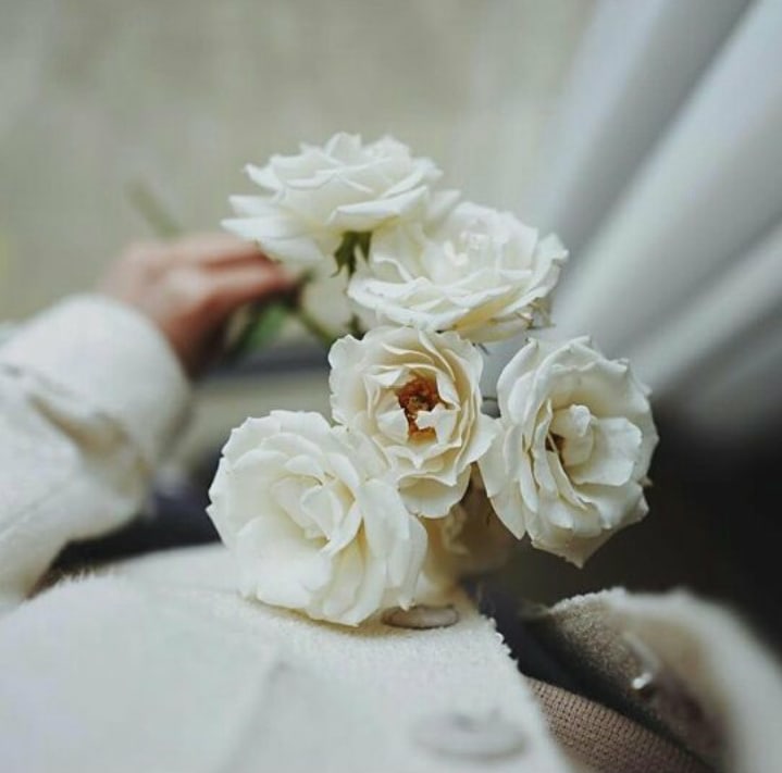 صور ورد للفيس بوك7 رمسة عرب