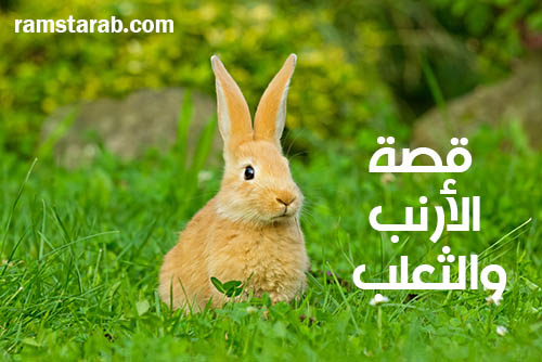 قصة الأرنب والثعلب القصيرة للأطفال  رمسة عرب