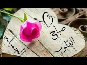 حالات واتس للصباح15