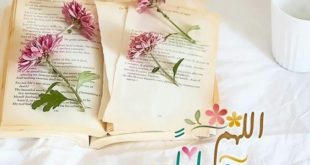 حالات واتس للصباح18