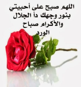 حالات واتس للصباح8