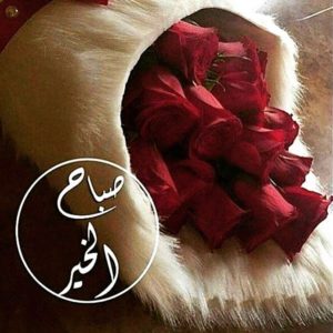 حالات واتس للصباح9