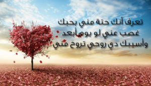 صور رسائل حب13