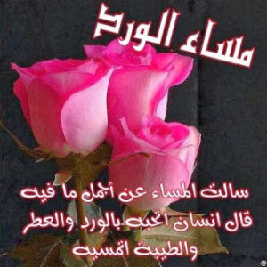 صور رمزية للمساء25