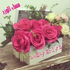 صور رمزية للمساء7