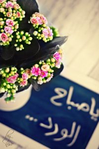 صور صباح الخير33