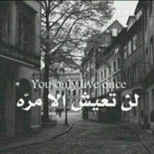 صور ندم16