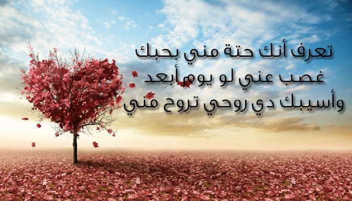 رسائل عشق6