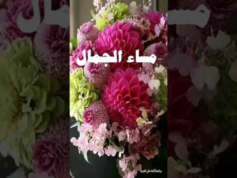 صور مساء الخير والجمال14