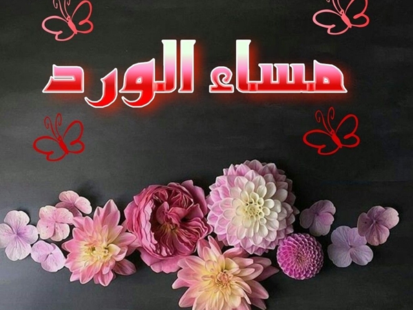 صور مساء الورد10