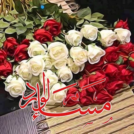 صور مساء الورد16