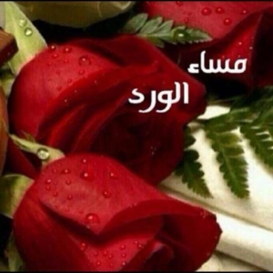 صور مساء الورد30