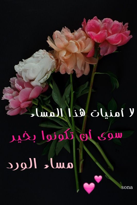 صور مساء الورد7