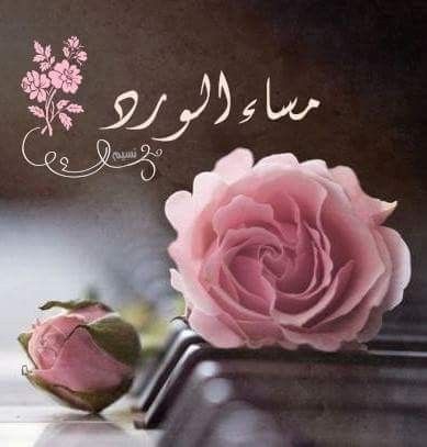 صور مساء الورد9