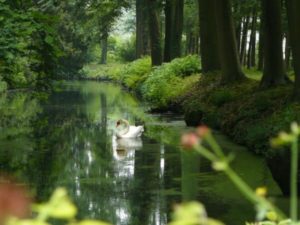 خلفيات طبيعية32