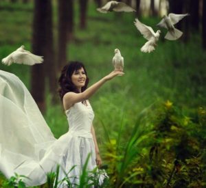 خلفيات طبيعية29