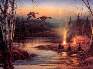 خلفيات طبيعية15