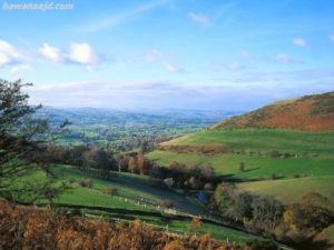 خلفيات طبيعية23