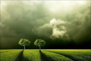 خلفيات طبيعية19