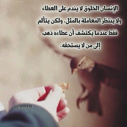 صور ندم5