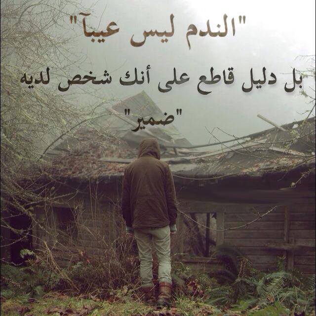 صور ندم9