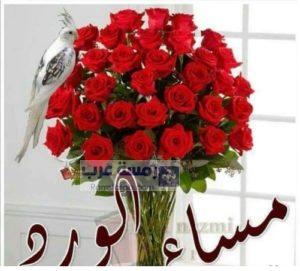 صور مساء الورد7