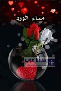 صور مساء الورد12