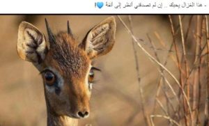 بوستات فيس بوك 2020