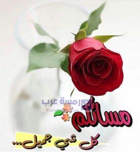 صور مساء الورد34