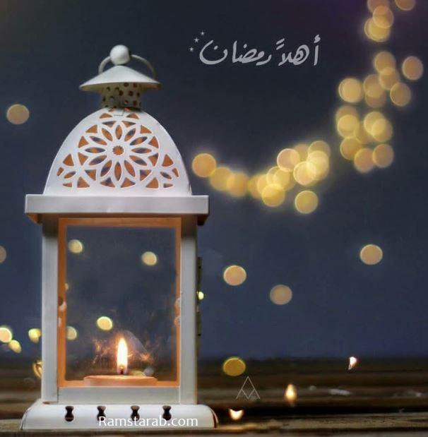 مورد نسب مسطحة صور فوانيس جميله Panda Vn Com