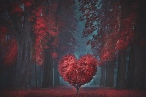 مناظر طبيعية (11)