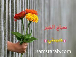 صور صباح الخير يا حبيبتي9