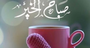 صباح الخير حبيبتي