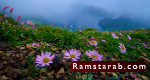صور عن البيئة29