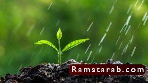 صور عن البيئة23