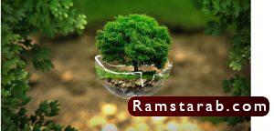 صور عن البيئة21