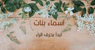 اسماء بنات بحرف الراء