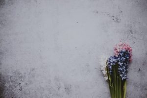 خلفيات كمبيوتر جديدة (14)
