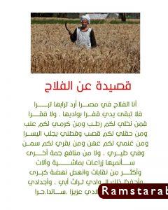 قصيدة جديدة عن الفلاح