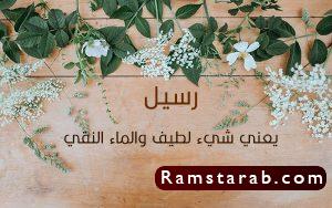 معنى اسم رسيل