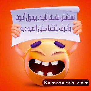 نكت محششين