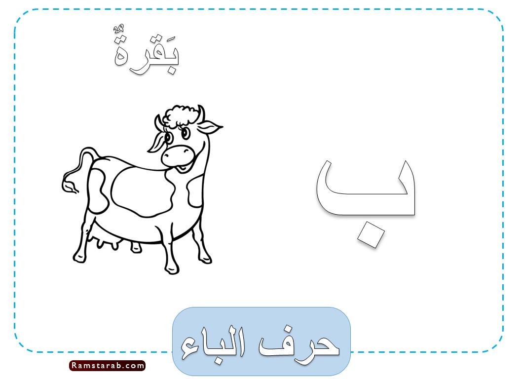 صور حرف ب4 | رمسة عرب