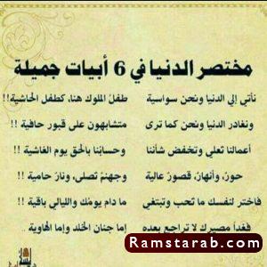 بيت شعر7