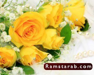 صور ورد اصفر30