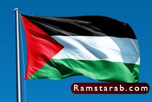 علم فلسطين8